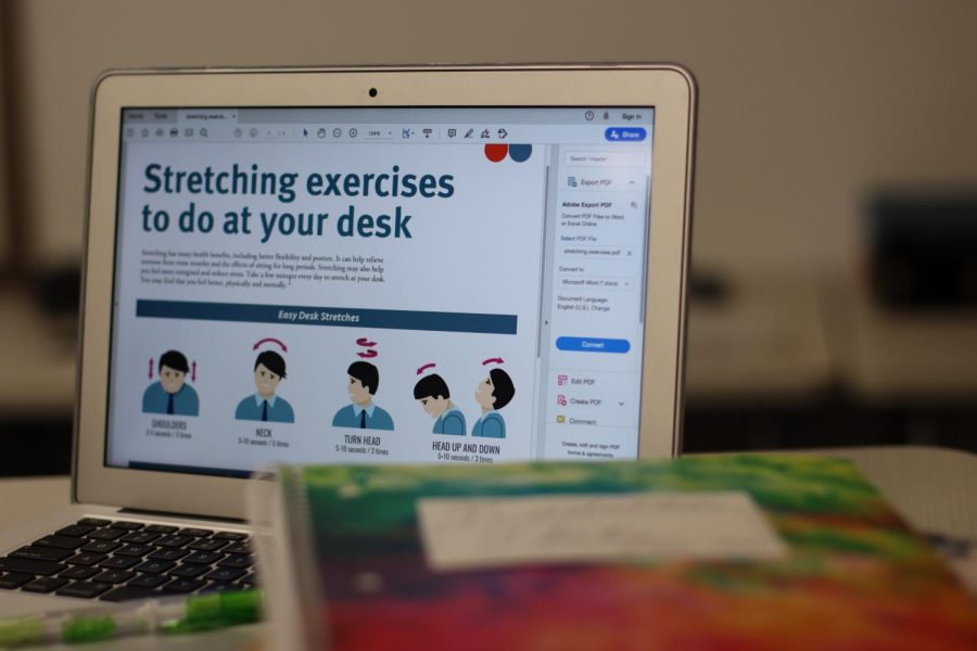 A computer depicts desk stretching exercises from  HealthyLearn.com. Columnist and sophomore Shreya Srivathsan covers the importance of stretching breaks during the work day. "During the school day, breaks should be integrated into both an online and in-person learning setting," she said. "If we don't take breaks we are not going to reach our productive capabilities, which is one of Rock Hill High School's core values."