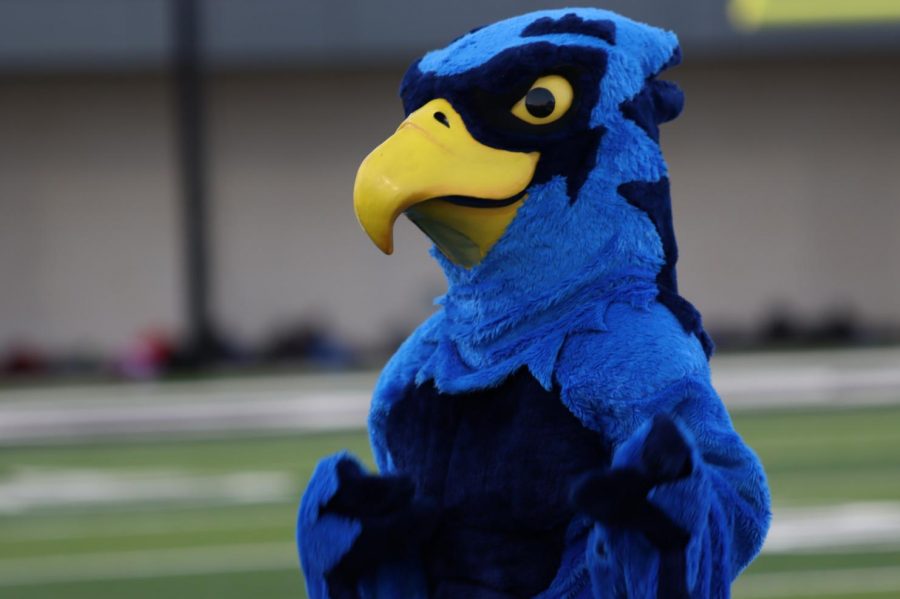 Rocky the Blue Hawk interacts with the crowd at Meet the Blue Hawks. The mascot will make it's school-wide debut at the Blue-Out pep rally Thursday. "It's a crazy time, but our school leaders wanted to make sure these pep rallies would happen for the students," cheer coach Kendra Lee said. "It's so important that we keep a hold of our school spirit, even in times of separation."