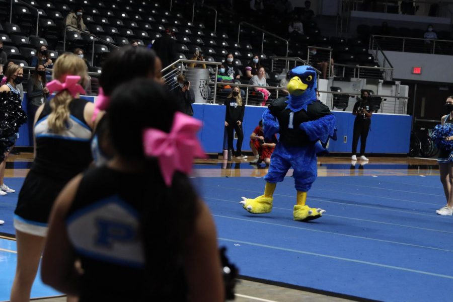 Rocky the Blue Hawk dances at the black-out pep rally. Freshmen and seniors attended this rally. Although it was the last rally of the football season, the school is planning to do more pep rallies in the spring. 