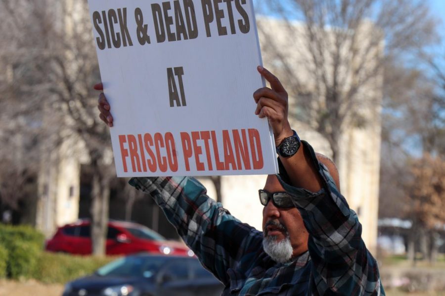 Frisco Petland protestor stands outside the location on their busiest day with a sign that reads "Sick & Dead Pets at Frisco Petland." In the following article, journalists and seniors Grant Johnson and Khshaeta Cama cover the investigation of the Frisco location. 