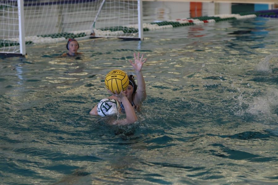 Water polo propels through the water