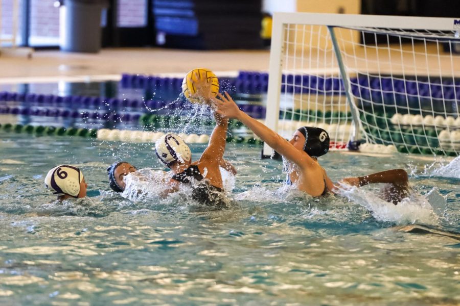 TM_waterpolo101_03