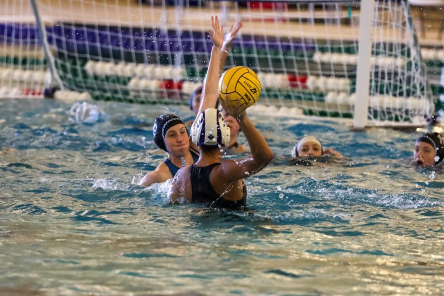 TM_waterpolo101_06