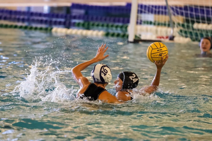 TM_waterpolo101_10