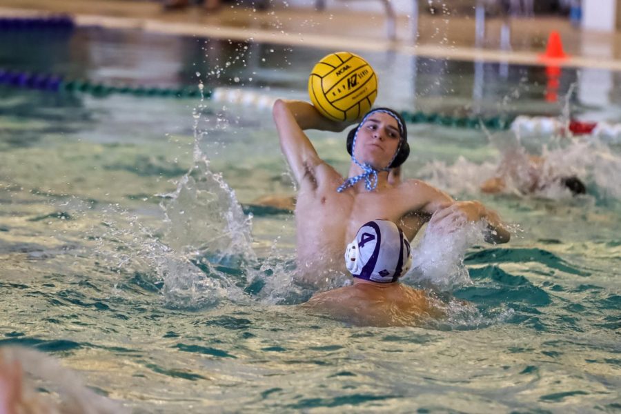 TM_waterpolo101_29