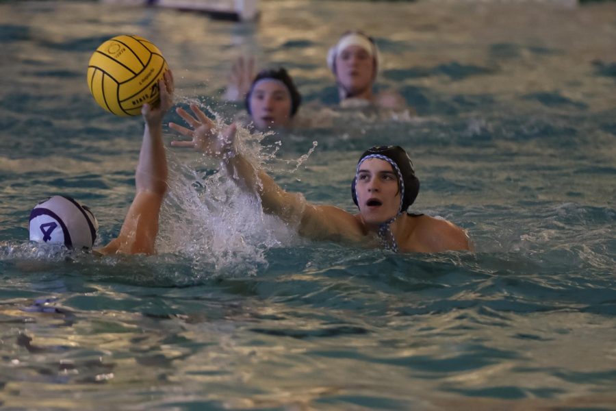 TM_waterpolo101_31