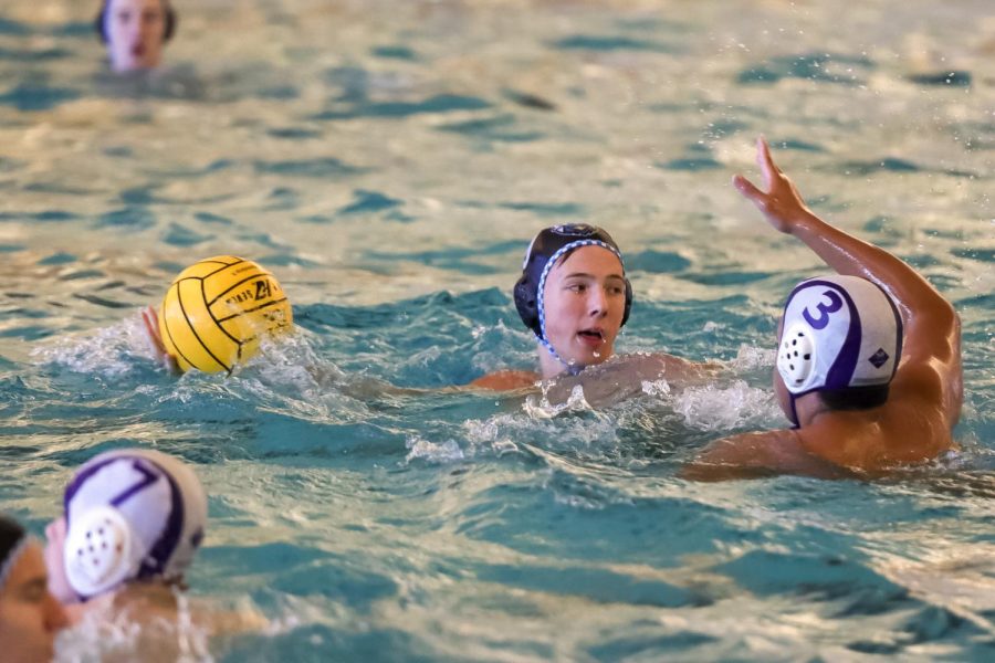 TM_waterpolo101_34