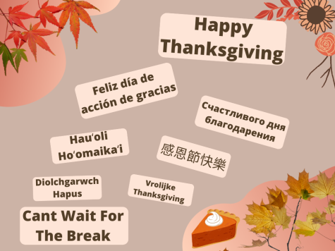 With Thanksgiving break approaching, reporters Yasmin Garada and Nanditha Nagavishnu compiled a list of ten different ways to say "I can't wait for the break" in languages from across the world. 