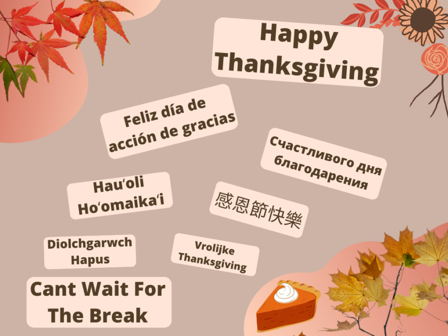 With Thanksgiving break approaching, reporters Yasmin Garada and Nanditha Nagavishnu compiled a list of ten different ways to say I cant wait for the break in languages from across the world. 