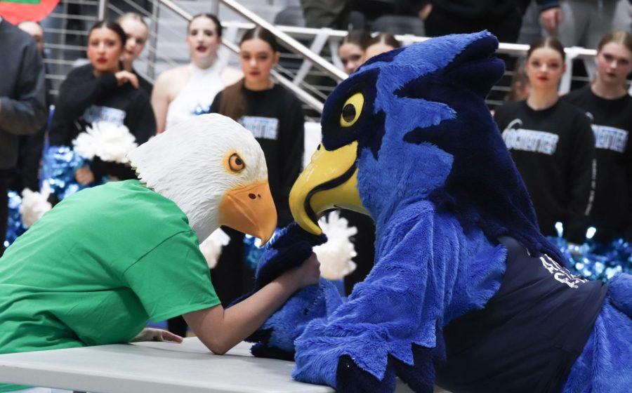 Rocky the Blue Hawk goes against Edgy the eagle in an arm wrestling. Rocky takes the lead and earns the victory belt. 