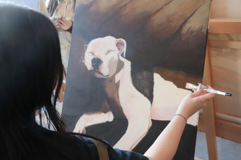 Summer Alison, junior, working on her entry for VASE. "I enjoy painting my pets,  because I love them and I thought that painting my dog would be a fun and challenging project for VASE" says Allison 