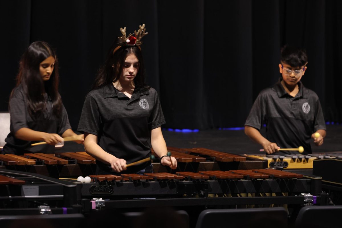 Coming close to the end of the Fine Arts Showcase, the Rock Hill Drumline gave it their all performing a series of songs. 