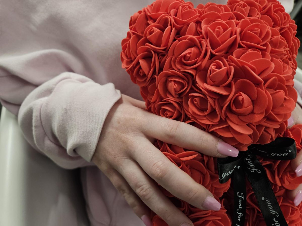 A girl holds a bear covered in felt roses she received for Valentine's Day. While gift-giving is among the most popular activities on February 14, movies are also a valid choice for singles and couples alike. 